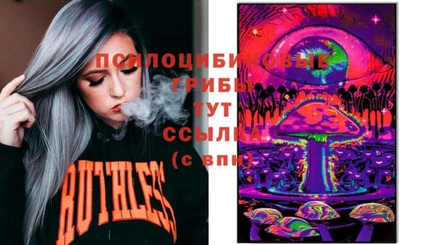 гашик Заволжск