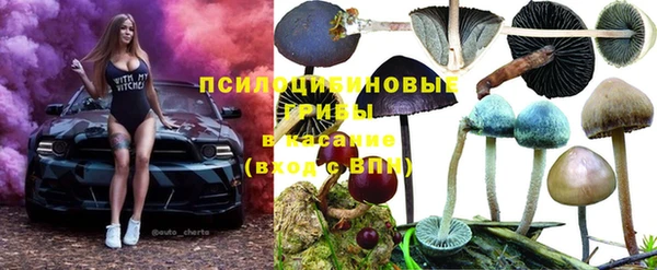 прущие крисы Заволжье