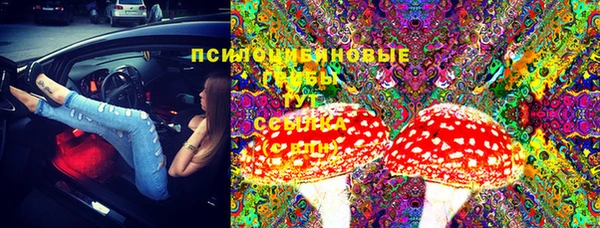 гашик Заволжск